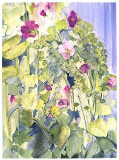 Abundance of Hollyhocks