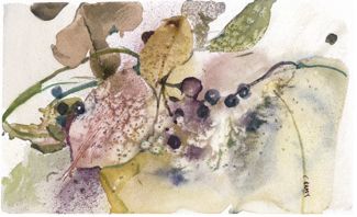 Berries