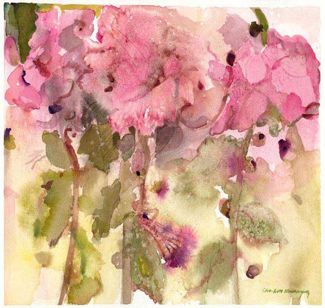 Burst of Pink