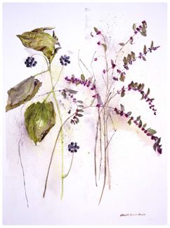 Carrion Flowers & Buck Brush