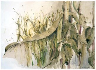 Corn Memory