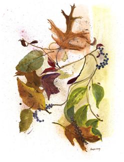 Fall Window