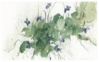 Family of Violets