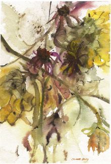 July Bouquet
