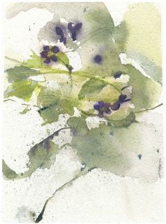June Violets