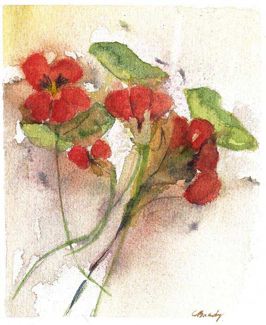 Nasturtiums