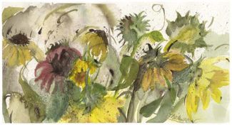 Patch of Sunflowers