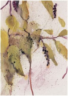 Pokeberries in the Fall