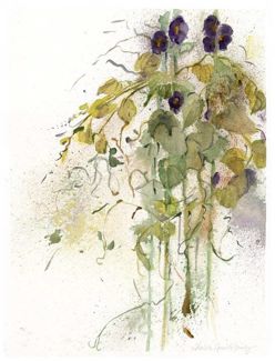 Purple Hollyhocks