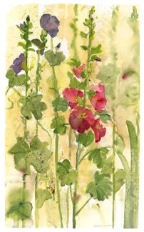 Red Hollyhocks