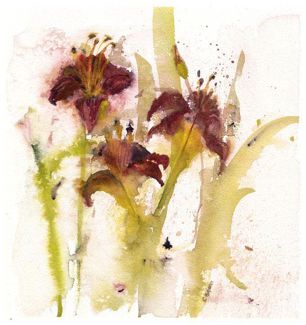 Red Lilly