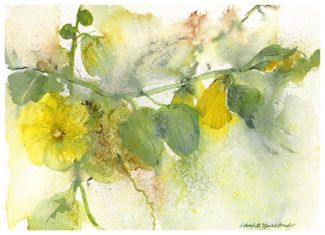 Tangle of Hollies