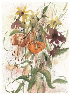 Turk&rsquo;s Head Lillies