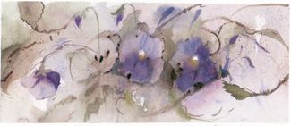 Velvet Pansies