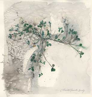 White Clover