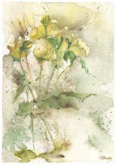 Yellow Roses